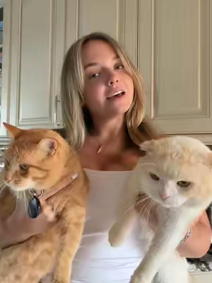I could NEVER give my cats away so i made it work thanks to @Pacagen 😎🫶🏻 no more allergies over here #catsoftiktok #catallergies #pacagen #PetsOfTikTok 