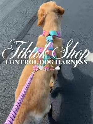 Control dog harness 🌸🤍💒🧘🏼‍♀️☁️#fyp #dogharness #dogwalk #nopulldogharness #nopullharness 