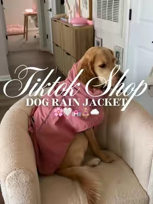 Dog rain jacket 🌸🤍💒🧘🏼‍♀️☁️#fyp #dograinjacket #dogclothing #dogclothes #dogaccessories 
