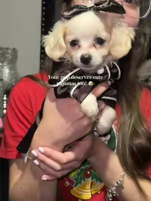 test Silky PJs for Your Fur Baby 🐶 #DogPajamas #PuppyPajamas #CuteDogOutfits #PetFashion #cutepuppy 