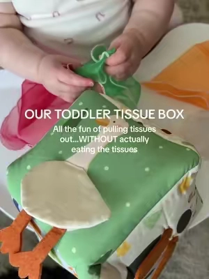 If your baby is constantly stealing tissues and paper towels just to rip them apart and inevitably try to eat them… you need this 😂 She gets the same satisfaction of pulling everything out over and over, except it’s little scarves, crinkle paper and different textures made for her to actually play with. It keeps her little hands BUSY and the goose + bear design is honestly so cute too. One of those simple toys I’d buy again in a heartbeat! #toddlertoys #sensorytoy #montessori #mom #mommusthaves 