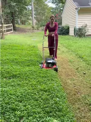 Máquina de cortar césped 