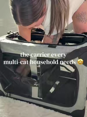 this is such a game changer for us. 💓 it’s so much simpler, easier, and more compact for storage. It holds up to 40lbs and fits both my cats so comfortably 🥰 #catproducts #catcarrier #catowner #catownerslife #catlover 