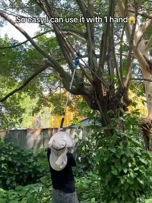 Tree trimming is actually fun for me now!!And this actually one of the most useful yard tools I’ve ever owned #yardwork #polesaw #chainsaw #gardening #toolset 