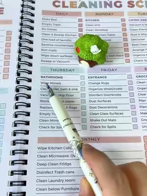 ADHD Cleaning planner.You know every day that you should clean up, but you just can't bring yourself to do it. #adhdcheck #adhd#housereset #dealsforyoudays #TikTokshopbacktoschool 