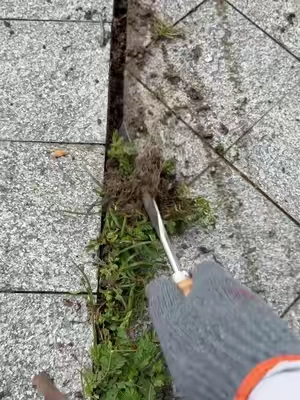 Do you still use butter knife,screwdriver and fire torch for this type grass in crevice? Check this All-in-One Weeding Warrior! Tame your home with ease. 🌿🛠️50% Off Limited Stock! Shop Now ❤️rock #GardeningHack #WeedingTool #MustHaveGadget #dealsforyoudays #SummerWins