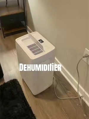 #dehumidifier #TikTokshopbacktoschool #tiktokshopcreatorpicks #tiktokshopsummersale 