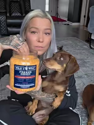 Got a picky eater? 🐶🧀 Sprinkle this freeze-dried cheddar cheese topper over their food for an easy flavor boost they’ll actually get excited about. @Wild Wolf Bully Sticks  #DogFoodTopper #FreezeDriedDogTreats #WildWolf #DogTreats #CheeseForDogs