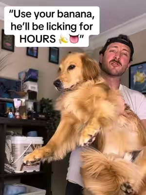 This was such a great idea for giving him extra enrichment! #dog #dogs #puppy #dogenrichment #enrichment 