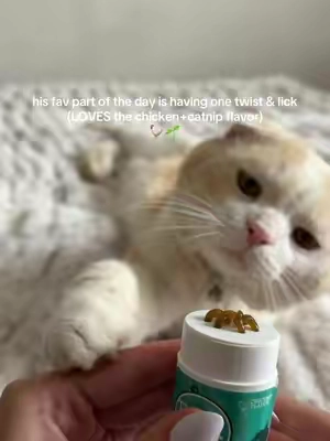 when I did the cat health DNA test for Leo with @Basepaws - Pet DNA Tests I learned Leo, even being just 1yr, is at a high risk for dental disease later in his life :( So taking preventative measures is my go to now🤘🏻@Tevrabrands #catsoftiktok #cattok 