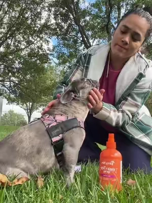 Spray natural de @Zesty Paws contra las pulgas y garrapatas. #fleaandtickprevention #zestypaws #prevenciondepulgasygarrapatas #pulgas #repelenteparapulgas 