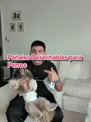 #DogDiapers #PetEssentials #DogCare #TikTokShop #pettok 