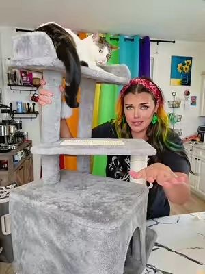 its PURRRRFECT  #catmusthaves 