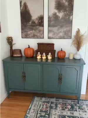 Storage cabinet to hide clutter and get organized! 