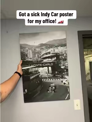 Affordable art!  #carsoftiktok #carslover #f1 #formula1