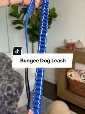 If your dog pulls on walks, a bungee dog leash can make such a difference. 🐶 The Dog Friendly Co. bungee leash helps absorb those sudden jolts, has a comfortable padded handle, a traffic handle for extra control, and a locking clip for added peace of mind. Such an easy dog-walking upgrade! #BungeeLeash #DogLeash #DogWalking #DogFriendlyCo #dogmom 