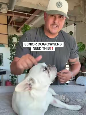 Grip inside. Paw protection outside. #seniordog #pawprotection #dogpawprotector #dogparents #wearedogfriendlyco 