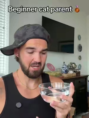 The different levels of hydrating your cat  #tiktokshopsummersale 