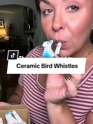 Water bird whistles are BACK and I just unlocked a childhood memory. 🐦💦 Please tell me I’m not the only one who remembers these little ceramic bird whistles?! Add a little water, blow into the whistle and you get that classic warbling bird sound. 🥹 And this set comes with 6 colorful ceramic bird whistles, which would be so fun for stocking stuffers, Easter baskets, party favors or just introducing your kids to one of those random little toys we thought was absolutely magical. 😂 🐦 Set of 6 💦 Classic water whistle design 🎶 Fun bird-like sound 🎁 Such a cute nostalgic gift idea #birdwhistle #TikTokshopbacktoschool #tiktokshophalloween #tiktokshopcreatorpicks 