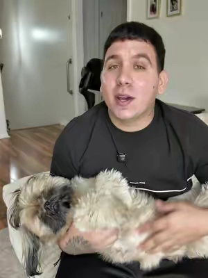 Shampoo, acondicionador y desodorizante 3 en 1. Ideal para perros de pelo rizado u ondulado, ayuda con los enredos y deja el pelaje limpio y fresco. #EarthRated #DogShampoo #PetCare #DogGrooming #tiktokshop 