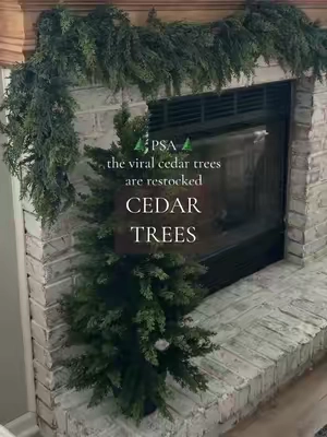 The perfect indoor & outdoor Christmas decor!! #christmasdecor #christmas #smallchristmastree #christmastreedecor 