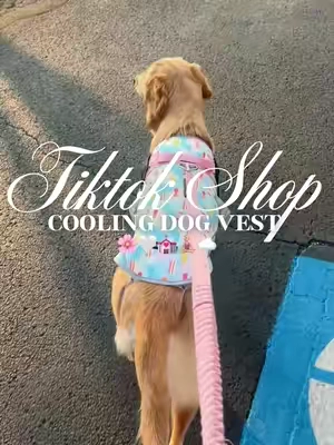 Cooling dog vest 🌸🤍💒🧘🏼‍♀️☁️#fyp #dogvest #dogclothing #dogclothes #dogaccessories 