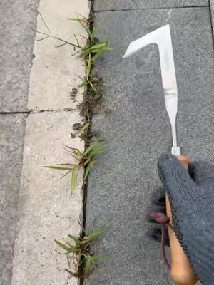 Do you still use butter knife,screwdriver and fire torch for this type grass in crevice? Check this All-in-One Weeding Warrior! Tame your home with ease. 🌿🛠️50% Off Limited Stock! Shop Now ❤️ Rock #GardeningHack #WeedingTool #MustHaveGadget #dealsforyoudays #SummerWins