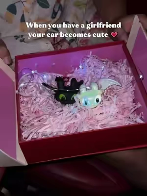 #dragon #toycar #keychain #howtotrainyourdragon #toothless 
