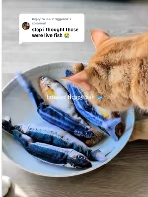Replying to @isaistriggered I guess the 8,000 likes means you're not messing with me? 🤣  I knew Cookie would go crazy for them as soon as I saw them and I loveee the cute packaging.  #floppyfish #interactivecattoy #automaticcattoy #TikTokshopbacktoschool #petsupplies 