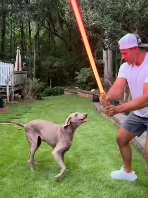 RGB LED lightsaber with 27 sound effects, vibrant color-changing lights, motion-responsive swing sounds, flash-on-clash effects, and a rechargeable design made for dueling, cosplay, costumes, or displaying in your collection. Whether you’re searching for a realistic lightsaber with sound, RGB saber for adults, rechargeable light saber, cosplay sword, or a fun gift for a Star Wars fan, this saber delivers an immersive experience without the high-end collector price. #RGBLightsaber #LightsaberDueling #CosplayGear #LEDLightsaber #Lightsaber