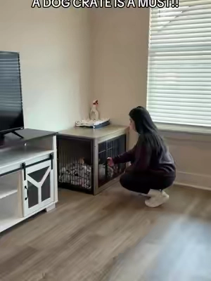 #dogcrate 