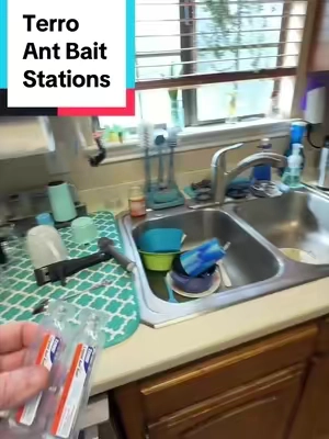 TERRO Ant Killer Bait Stations T300 - Liquid Bait to Eliminate Ants - Bait System - 6 Count Stations for Effective Indoor Ant Control #TikTokshopbacktoschool #tiktokshopcreatorpicks #antcontrol #ants #howtogetridofants 
