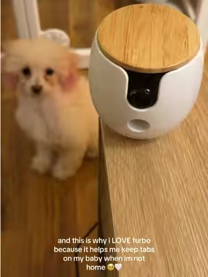 thank you!!!! @Furbo Pet Camera #pet #dog #puppy #furbo 