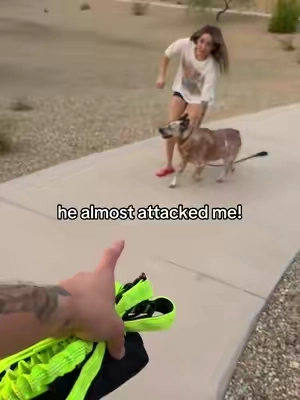 gave her my hands free leash  #dogleash #handsfreedogleash 