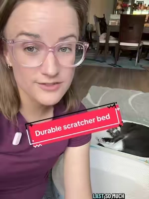 Replying to @Riker sooo….no. Just high density so it’s more durable. #catscratcher #catbed #BackToSchool #TikTokshopbacktoschool #sohochic 
