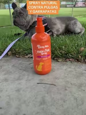 SPRAY CONTRA PULGAS Y GARRAPATAS. #fleaandtickprevention #zestypaws #prevenciondepulgasygarrapatas #pulgasygarrapatas #pulgas 