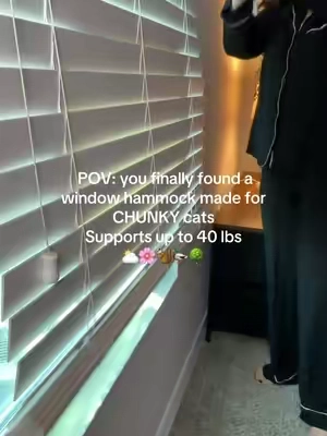 If your indoor cat loves staring out the window or needs a little more enrichment, this window hammock is such an easy upgrade. It’s cozy, sturdy, and stays securely in place with strong suction cups. It installs in minutes on windows, glass doors, or balcony doors and gives your cat the perfect spot to lounge, nap, and bird watch. It’s especially great for larger cats and multi-cat homes, plus it’s durable, easy to clean, and perfect for everyday use. #tiktokshopcreatorpicks #summervibes  #summeressentials #BackToSchool #TikTokshopbacktoschool  