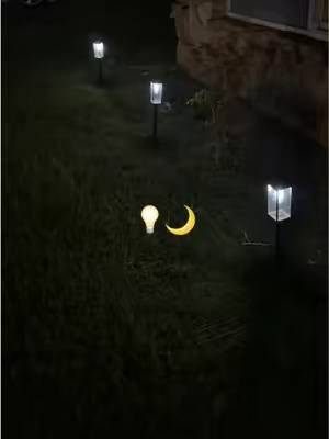 Me encanta como se ve el jardín de noche con luces 🤩💡#sohochic 🌙 #lights #garden 