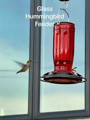 I want all the Kingsyard Hummingbird Feeders! Easy to fill, easy to clean, and they come in many different colors.  #hummingbirds #birdfeeder #kingsyard #TikTokshopbacktoschool #Tiktokshopcreatorpicks 
