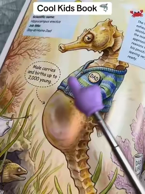 Learn something new every day! #thesecretjobsofoceancreatures #oceanlife #kidsbook @Claire Monroe Books 