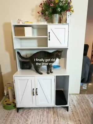 Okay, so I never thought I’d be THIS excited about a cat litter box, but here we are. 😂  This cat litter furniture is seriously a game-changer for small space furniture. It’s like my cat gets their own little private suite, and I get extra storage for all their stuff (and mine too). The 4 storage layers and locker? Perfect for keeping everything organized without cluttering up my place.  Plus, it doubles as actual furniture! I’ve got it in my living room, and it’s so sleek you’d never guess it’s hiding a cat litter box. My cat loves the privacy, and I love that it keeps the litter scatter under control. Win-win. 🙌  If you’re working with a small space or just want a cleaner, more organized vibe, this is IT. Who knew a cat litter box could be this functional AND cute? 😍 #CatLitter #Storage #SmallSpaceFurniture #CatLitterFurniture #catsoftiktok