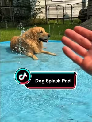 man he freakin loves this thing  #dogsplashpad #dogaccessories #dogparents #summervibes #petlovers 