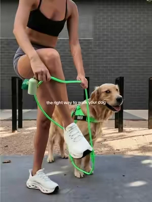 it’s game changing AND on sale!?! 🙌🏼🐾 #goldenretriever #petparents #wearedogfriendlyco #handsfree #dogleash 