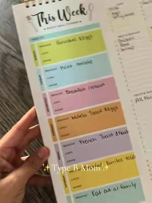 ✨Type B moms ✨ #MomsofTikTok #planner #organize #food #tiktokshopsummersale 