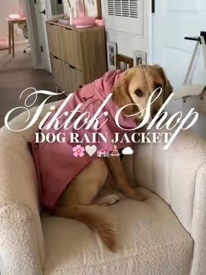 Dog rain jacket 🌸🤍💒🧘🏼‍♀️☁️#fyp #dograinjacket #dogclothing #dogclothes #dogaccessories 