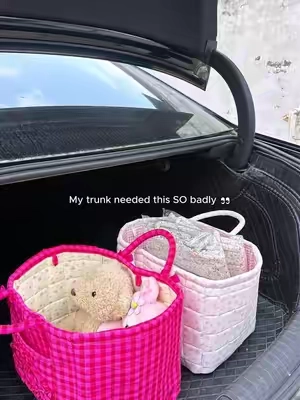 The kind of TikTok find you actually end up using every day #cutestorage #momhack #giftseas #giftforher #carorganization 