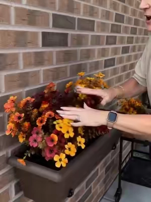 My Porch Is Ready for Fall🍂#fyp #tiktokshop 