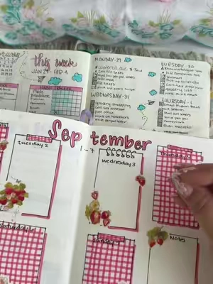 The best part is, you can change your layout every single week#TikTokShopCreatorPicks #TikTokshopbacktoschool #BackToSchool #BulletJournal 