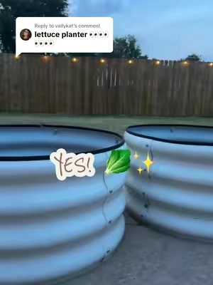 Replying to @vallykat Perfect for lettuce!  #raisedgarden #raisedgardenbeds #gardentok #gardeningforbeginners #gardenproject 