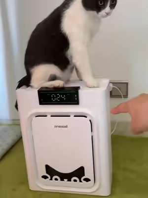 this literally traps pet hair from out of the air,we have two cats!   #PetAirPurifier   #PetHairEverywhere  #CatHealth  #SummerSale #Summervibes   